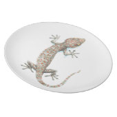gecko plate (Right Side)