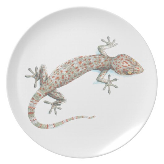 gecko plate (Front)