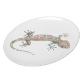 gecko plate (Left Side)