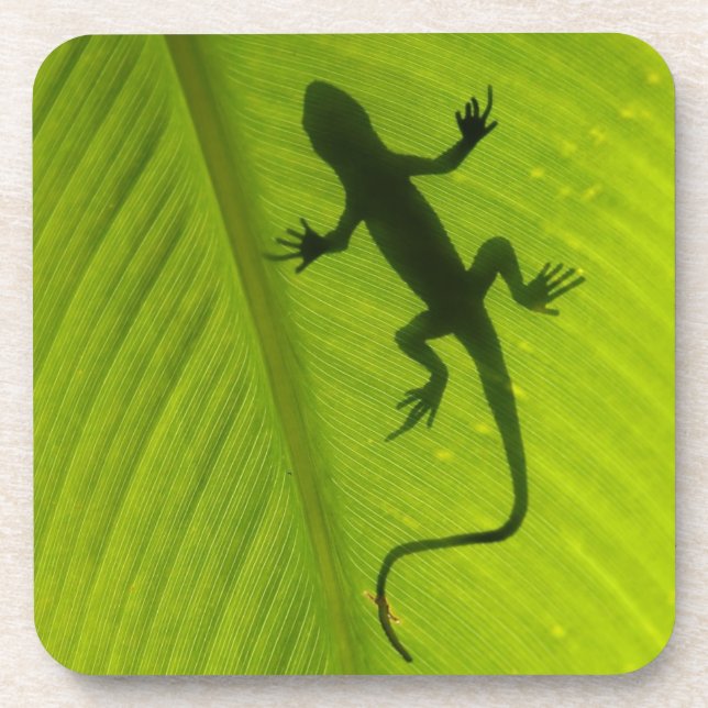 Gecko Silhouette Beverage Coaster (Front)