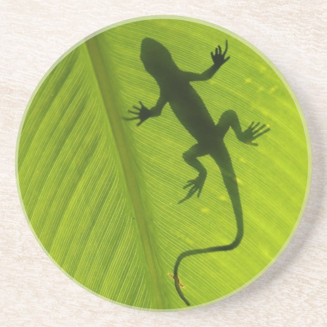 Gecko Silhouette Coaster (Front)