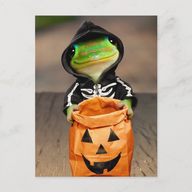Gecko Skeleton Invitation Postcard (Front)