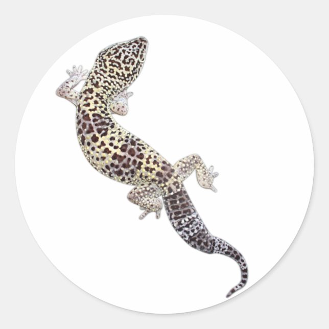Gecko Stickers 01 (Front)
