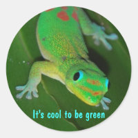 Gecko viewpoint - It's cool to be green Classic Round Sticker