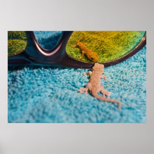 Gecko with Sunglasses Print | Zazzle