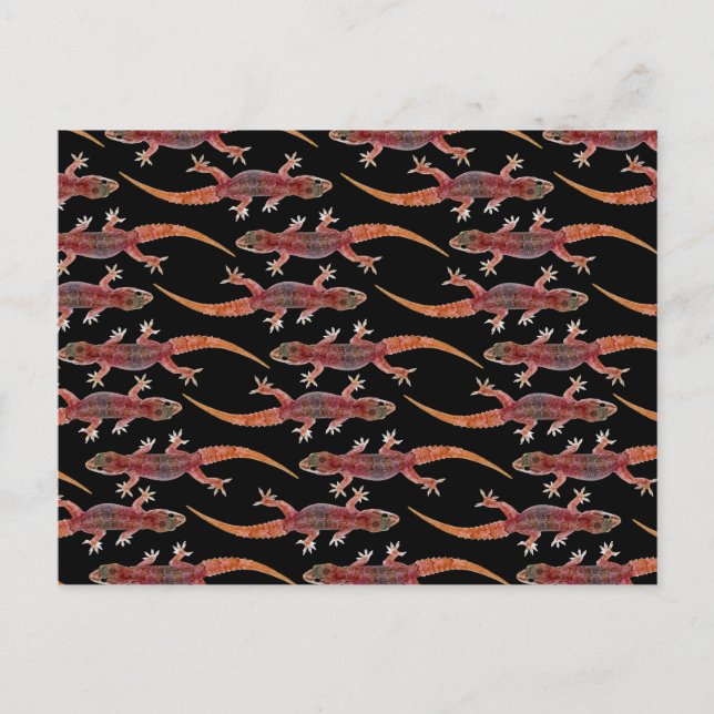 Geckos Postcard (Front)