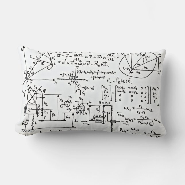 Geeky Math Mathematics Black White Lumbar Pillow (Front)