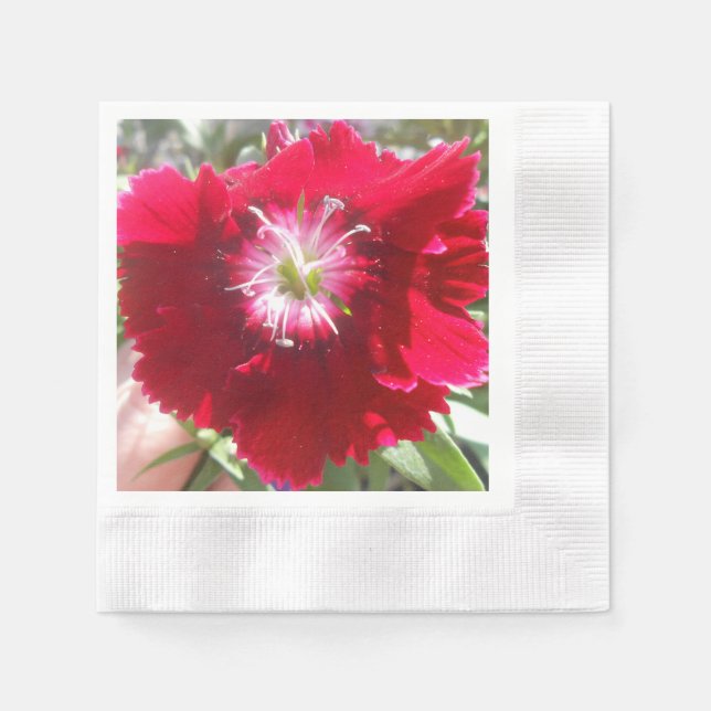 Geertje Paper Napkins (Front)