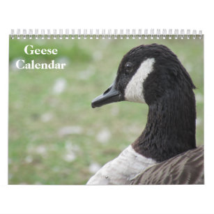 Geese 2024 calendar