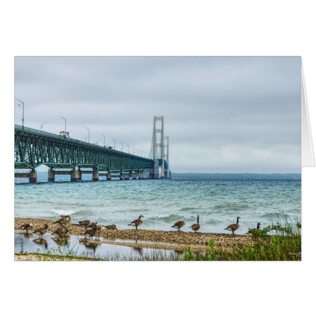 Geese At Mighty Mac Cards (Front Horizontal)