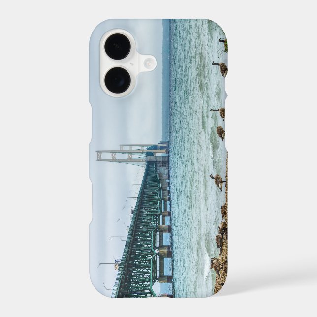 Geese At Mighty Mac Iphone Case (Back)