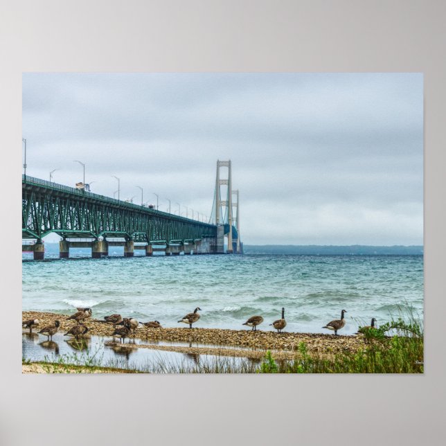 Geese At Mighty Mac Poster (Front)