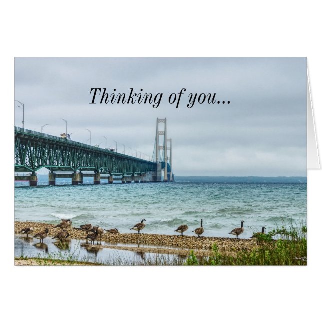 Geese At Mighty Mac Thinking Of You Cards (Front Horizontal)