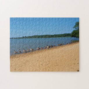 Geese at Silver Lake, Wisconsin Jigsaw Puzzle
