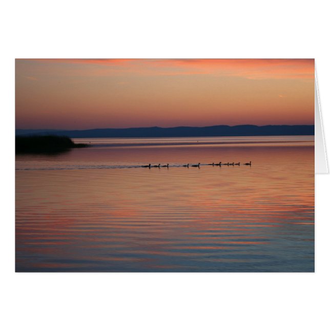 Geese at Sunset Cards (Front Horizontal)