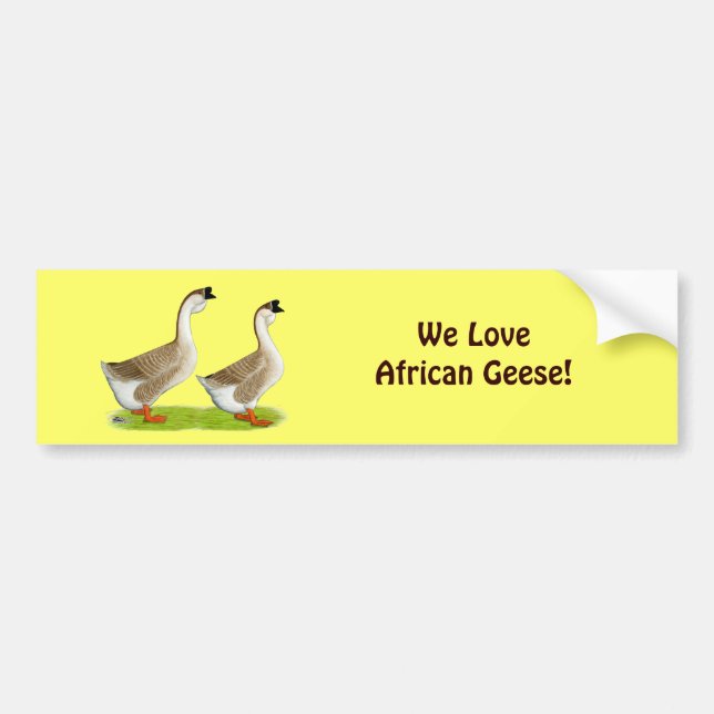 Geese:  Buff African Bumper Sticker (Front)