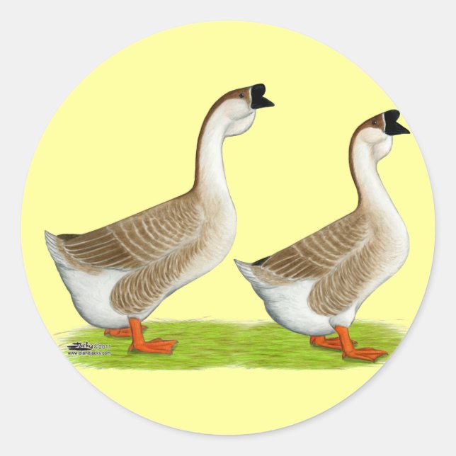 Geese:  Buff African Classic Round Sticker (Front)