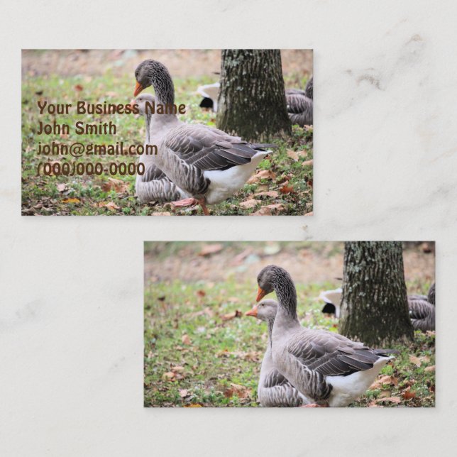 Geese Business Card (Front/Back)