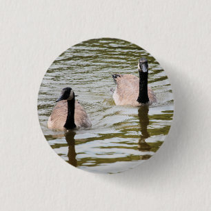 Geese button