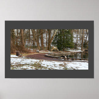 Geese by a Pond Poster