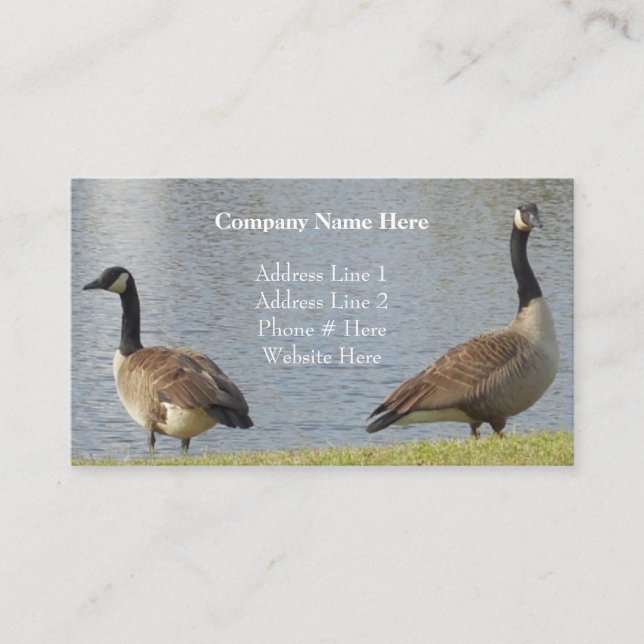 Geese By Pond Business Cards (Front)
