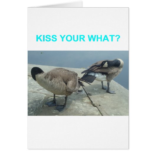 Geese Cards (Front)