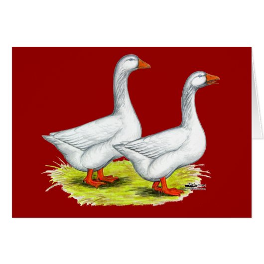 Geese: Embden Pair Cards (Front Horizontal)