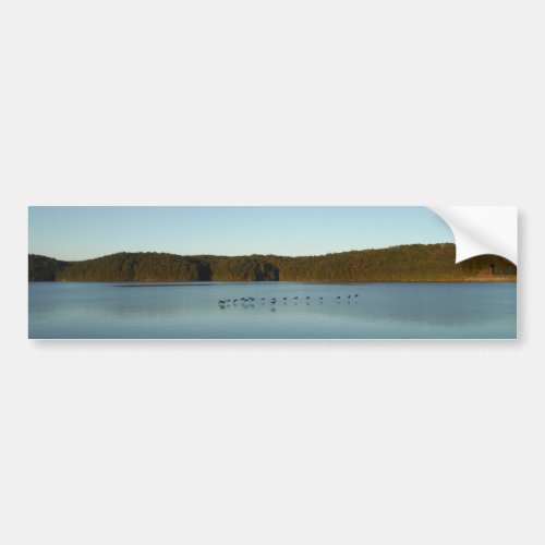 Geese Flying Over Mountain Reflection on Lake Bumper Sticker