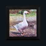 GEESE  GIFT BOX<br><div class="desc">An art design of a domesticated goose.</div>