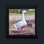 GEESE  GIFT BOX<br><div class="desc">An art design of a domesticated goose.</div>