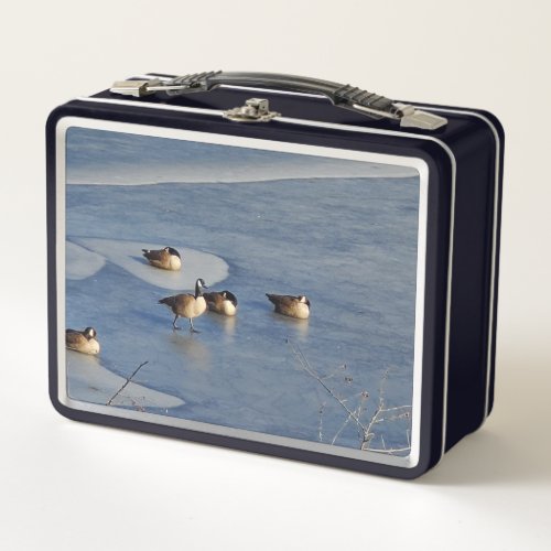 Geese Ice Napping Lunch Box