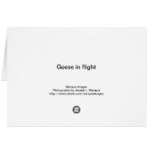 Geese in flight cards (Back Horizontal)