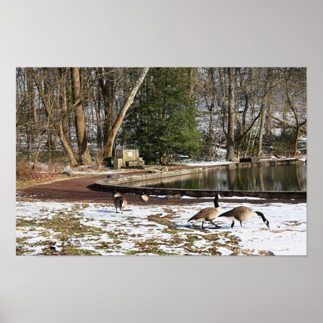 Geese in Snow by Pond Poster (Front)