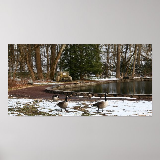 Geese in Snow by Pond Poster (Front)