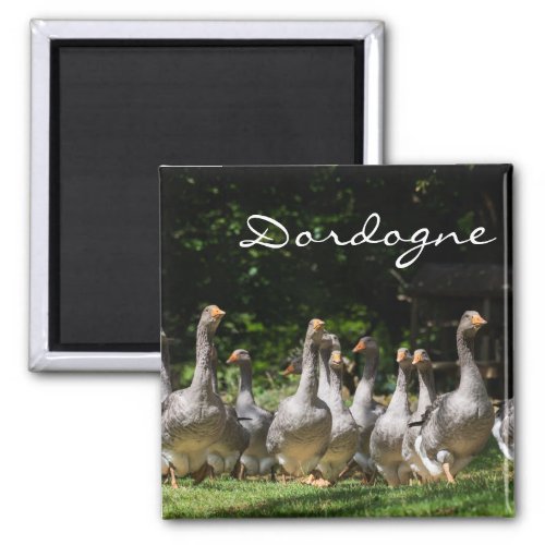 Geese in the Dordogne text magnet