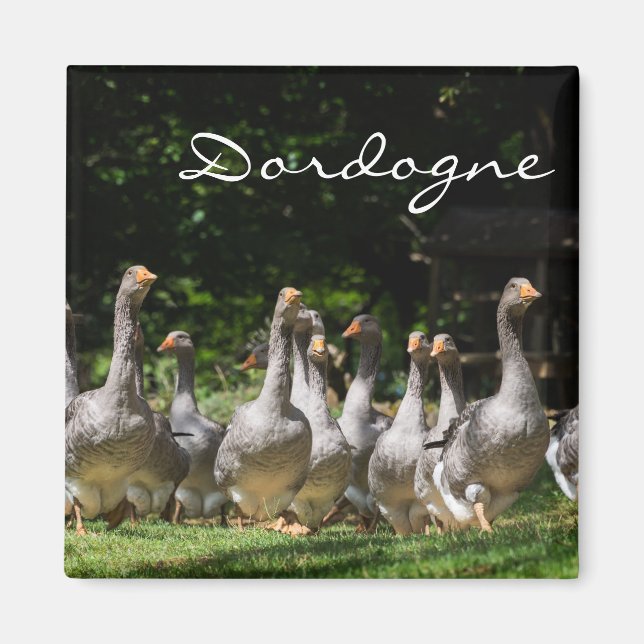 Geese in the Dordogne text magnet (Front)