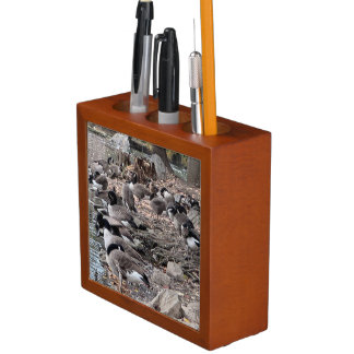 Geese in the Park Desk Organizer