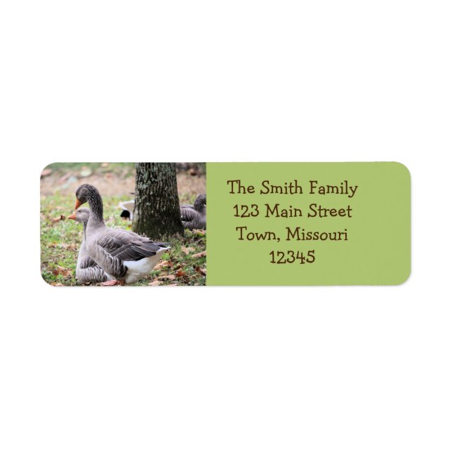 Geese Label (Front)