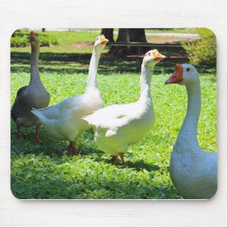Geese Mouse Pad