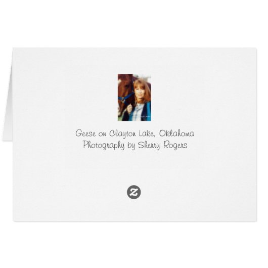 ~Geese on Clayton Lake~ (Back Horizontal)