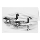 Geese on Water (Front Horizontal)