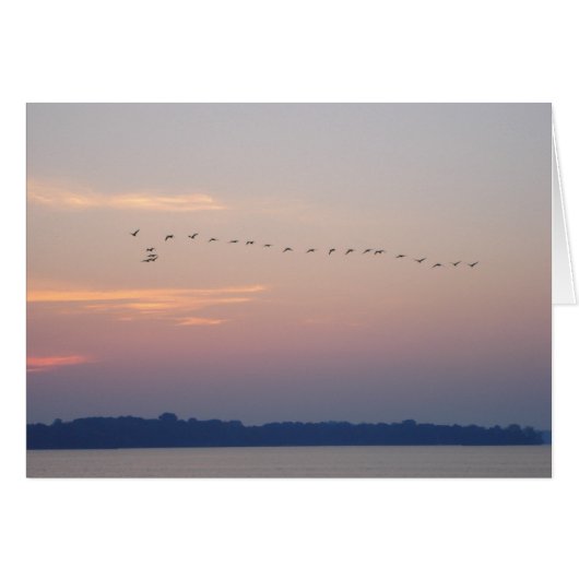Geese over White Bear Lake (Front Horizontal)