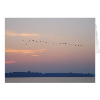 Geese over White Bear Lake Cards