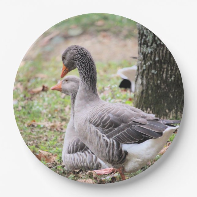 Geese  paper plates (Front)