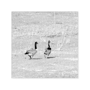 Geese Photo Self-inking Stamp