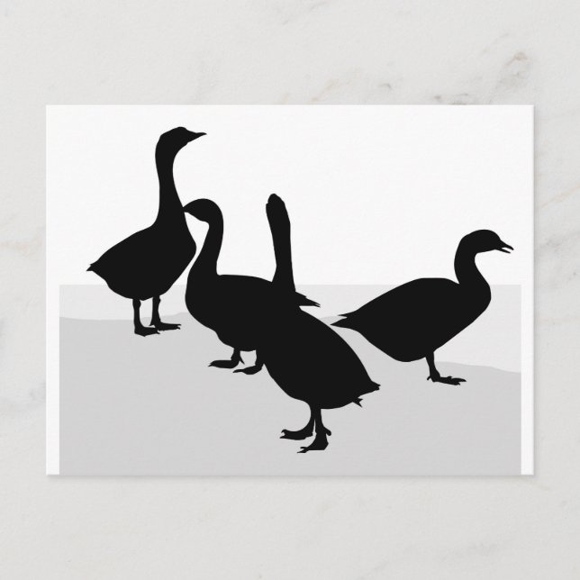 Geese Postcard (Front)