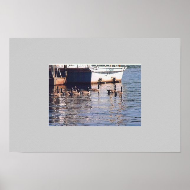 Geese Poster (Front)