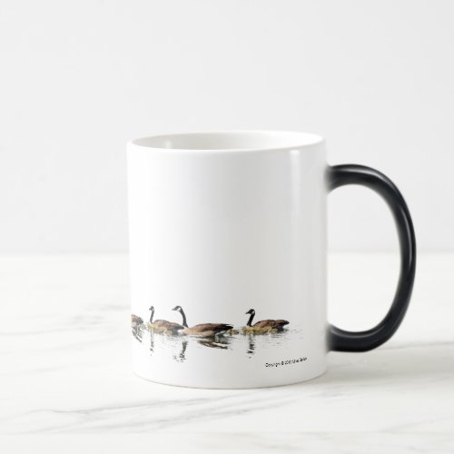 Geese swim around your Mug