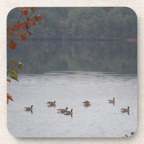 Geese swimming in Autumn Lake Arrowhead Drink Coaster