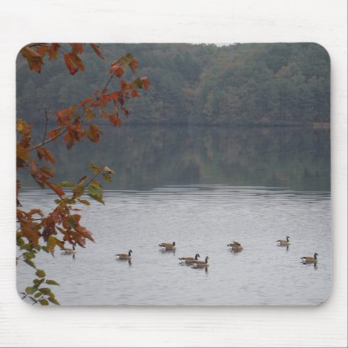 Geese swimming in Autumn Lake Arrowhead Mouse Pad